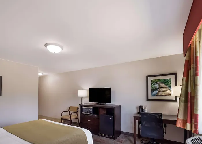 Hotel Surestay By Western Rend Whittington